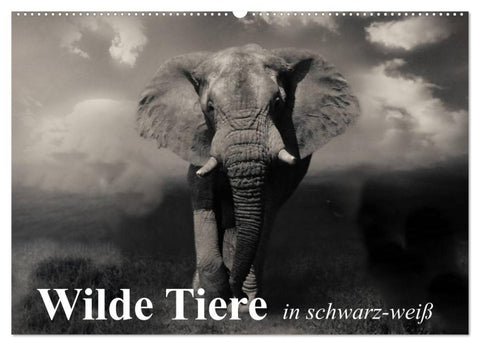 Wilde Tiere in schwarz-weiß (Wandkalender 2027 DIN A2 quer), CALVENDO Monatskalender