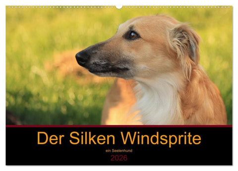 Der Silken Windsprite - ein Seelenhund (Wandkalender 2026 DIN A2 quer), CALVENDO Monatskalender