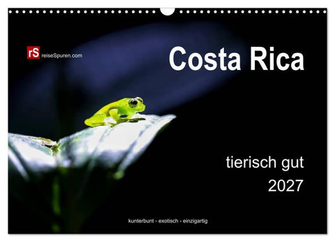 Costa Rica tierisch gut 2027 (Wandkalender 2027 DIN A3 quer), CALVENDO Monatskalender
