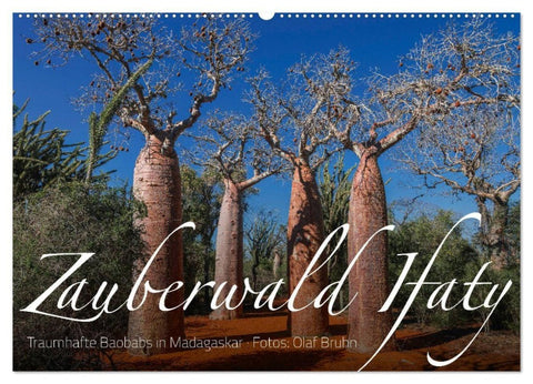 Zauberwald Ifaty · Traumhafte Baobabs in Madagaskar (Wandkalender 2027 DIN A2 quer), CALVENDO Monatskalender