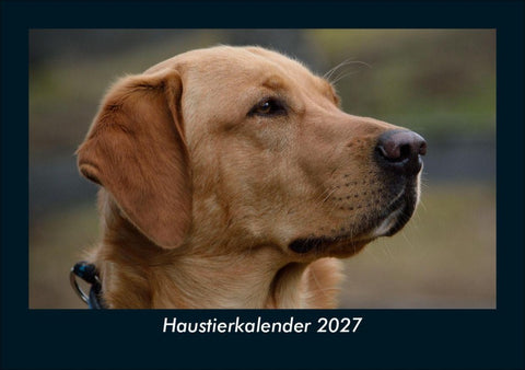 Haustierkalender 2027 Fotokalender DIN A5