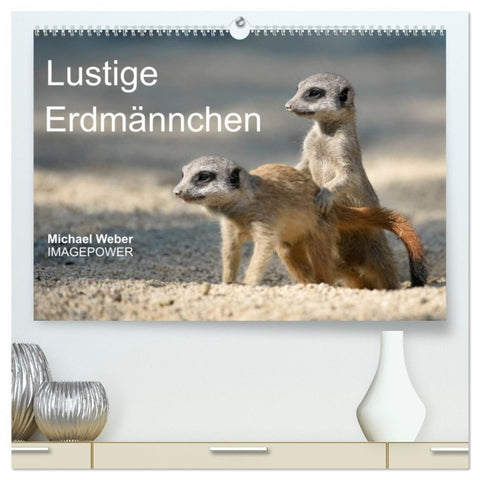 Lustige Erdmännchen (hochwertiger Premium Wandkalender 2026 DIN A2 quer), Kunstdruck in Hochglanz