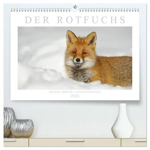Der Rotfuchs (hochwertiger Premium Wandkalender 2026 DIN A2 quer), Kunstdruck in Hochglanz