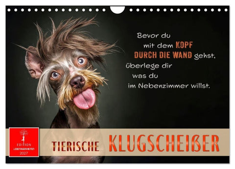 Tierische Klugscheißer (Wandkalender 2027 DIN A4 quer), CALVENDO Monatskalender