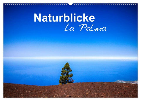 Naturblicke - La Palma (Wandkalender 2026 DIN A2 quer), CALVENDO Monatskalender