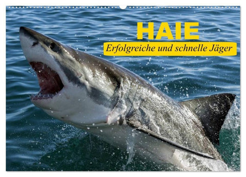Haie. Erfolgreiche und schnelle Jäger (Wandkalender 2027 DIN A2 quer), CALVENDO Monatskalender