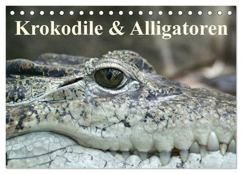 Krokodile & Alligatoren (Tischkalender 2027 DIN A5 quer), CALVENDO Monatskalender