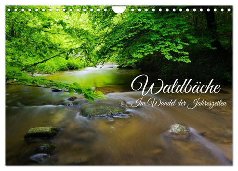 Waldbäche - Im Wandel der Jahreszeiten (Wandkalender 2027 DIN A4 quer), CALVENDO Monatskalender