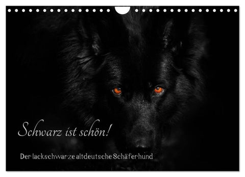 Schwarz ist schön! Der lackschwarze altdeutsche Schäferhund (Wandkalender 2027 DIN A4 quer), CALVENDO Monatskalender