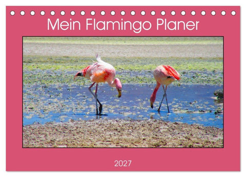 Mein Flamingo Planer (Tischkalender 2027 DIN A5 quer), CALVENDO Monatskalender