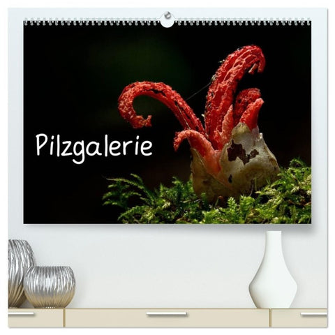Pilzgalerie (hochwertiger Premium Wandkalender 2027 DIN A2 quer), Kunstdruck in Hochglanz