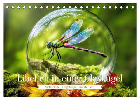 Libellen in einer Glaskugel (Tischkalender 2027 DIN A5 quer), CALVENDO Monatskalender