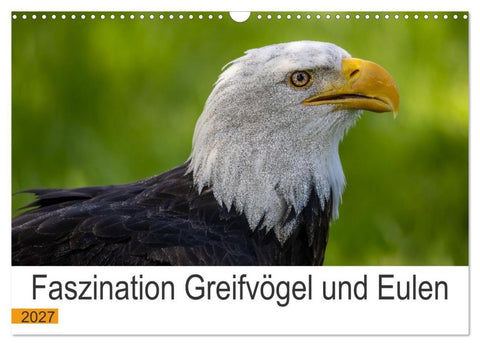 Faszination Greifvögel und Eulen (Wandkalender 2027 DIN A3 quer), CALVENDO Monatskalender