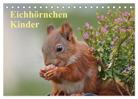 Eichhörnchen Kinder (Tischkalender 2027 DIN A5 quer), CALVENDO Monatskalender