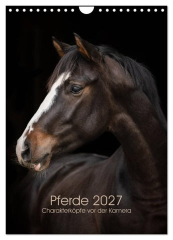 Pferde 2027 - Charakterköpfe vor der Kamera (Wandkalender 2027 DIN A4 hoch), CALVENDO Monatskalender