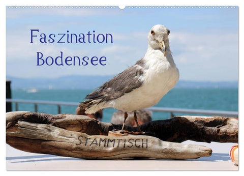 Faszination Bodensee (Wandkalender 2027 DIN A2 quer), CALVENDO Monatskalender