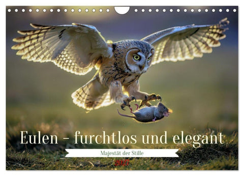 Eulen - furchtlos und elegant (Wandkalender 2027 DIN A4 quer), CALVENDO Monatskalender