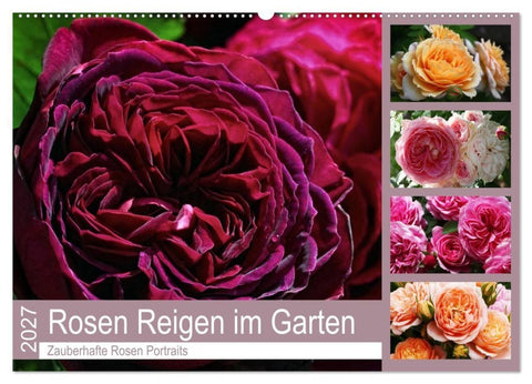 Rosen Reigen im Garten (Wandkalender 2027 DIN A2 quer), CALVENDO Monatskalender