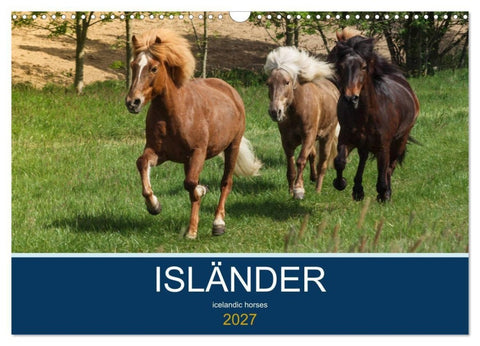 Isländer - icelandic horses (Wandkalender 2027 DIN A3 quer), CALVENDO Monatskalender