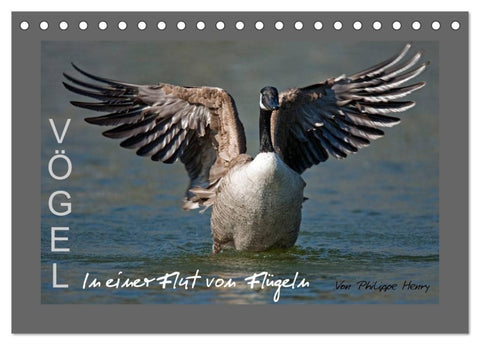 VÖGEL (Tischkalender 2027 DIN A5 quer), CALVENDO Monatskalender