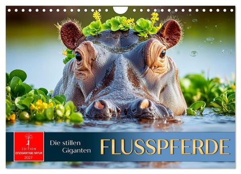 Flusspferde - die stillen Giganten (Wandkalender 2027 DIN A4 quer), CALVENDO Monatskalender