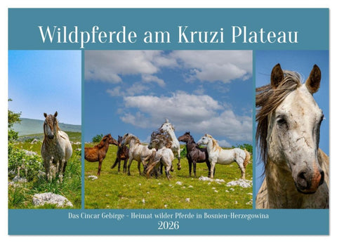 Wildpferde am Kruzi Plateau (Wandkalender 2026 DIN A3 quer), CALVENDO Monatskalender