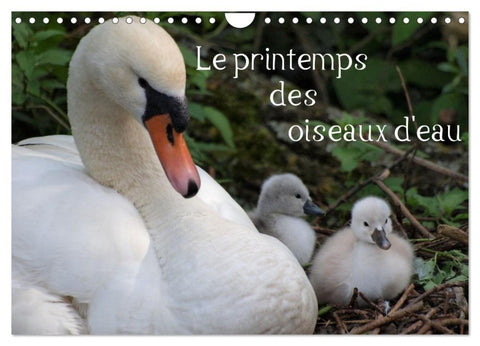 Le printemps des oiseaux d'eau (Calendrier mural 2027 DIN A4 vertical), CALVENDO calendrier mensuel