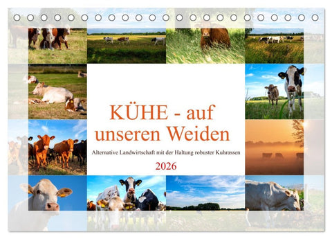 Kühe - auf unseren Weiden (Tischkalender 2026 DIN A5 quer), CALVENDO Monatskalender