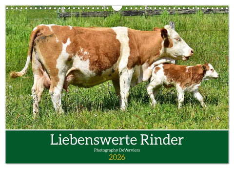 Liebenswerte Rinder (Wandkalender 2026 DIN A3 quer), CALVENDO Monatskalender