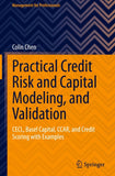 Practical Credit Risk and Capital Modeling, and Validation