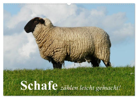 Schafe zählen leicht gemacht! (Wandkalender 2026 DIN A2 quer), CALVENDO Monatskalender