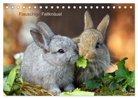 Flauschige Fellknäuel (Tischkalender 2027 DIN A5 quer), CALVENDO Monatskalender