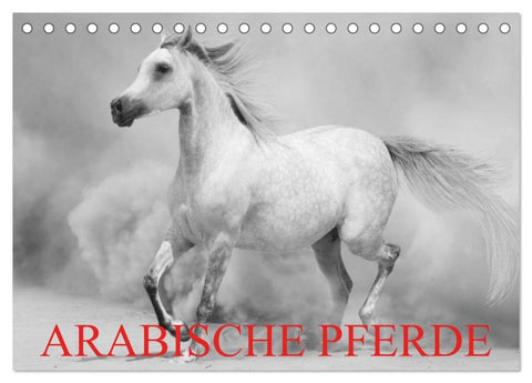 Arabische Pferde (Tischkalender 2026 DIN A5 quer), CALVENDO Monatskalender