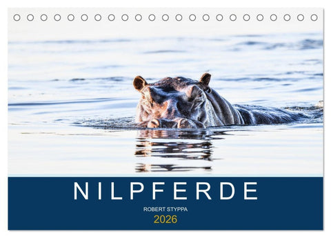 Nilpferde, Kolosse in Afrika (Tischkalender 2026 DIN A5 quer), CALVENDO Monatskalender