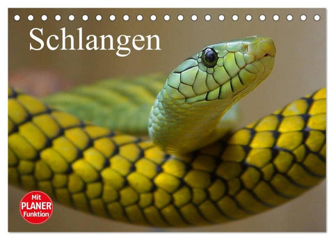 Schlangen (Tischkalender 2026 DIN A5 quer), CALVENDO Monatskalender