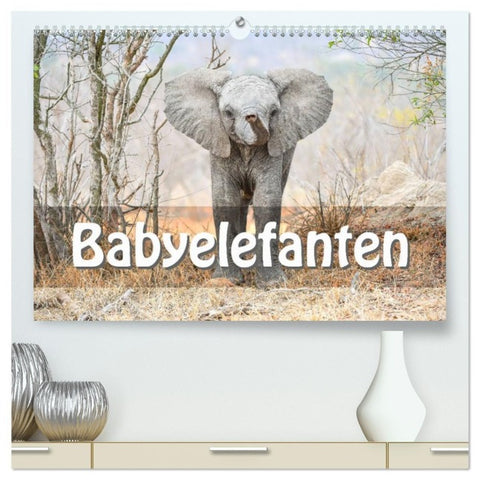 Babyelefanten (hochwertiger Premium Wandkalender 2027 DIN A2 quer), Kunstdruck in Hochglanz