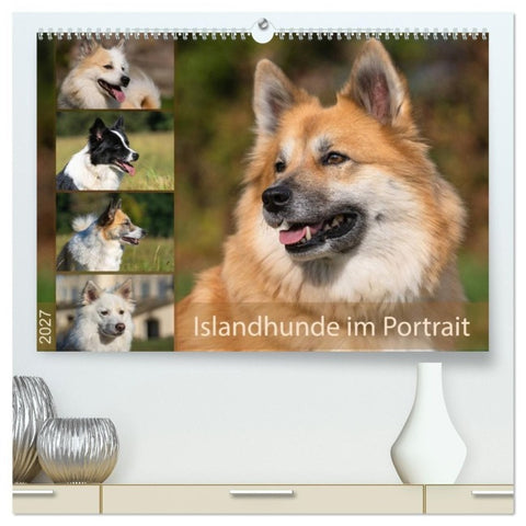 Islandhunde im Portrait (hochwertiger Premium Wandkalender 2027 DIN A2 quer), Kunstdruck in Hochglanz