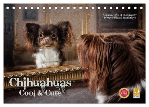 Chihuahuas - Cool and Cute (Tischkalender 2026 DIN A5 quer), CALVENDO Monatskalender