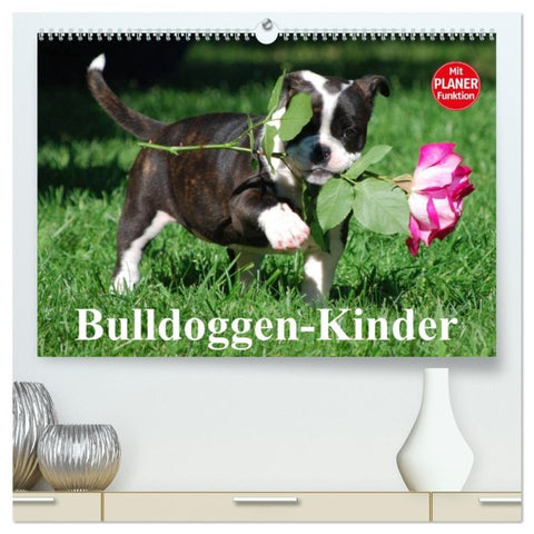 Bulldoggen-Kinder (hochwertiger Premium Wandkalender 2026 DIN A2 quer), Kunstdruck in Hochglanz
