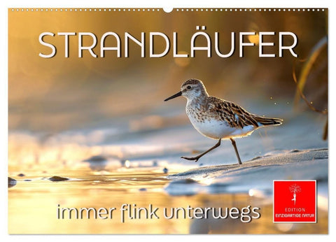 Strandläufer - immer flink unterwegs (Wandkalender 2027 DIN A2 quer), CALVENDO Monatskalender