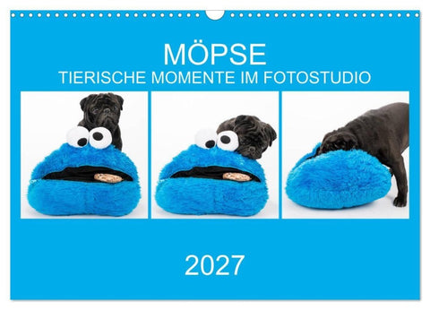 MÖPSE - tierische Momente im Fotostudio (Wandkalender 2027 DIN A3 quer), CALVENDO Monatskalender
