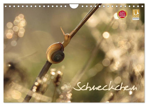 Schneckchen (Wandkalender 2027 DIN A4 quer), CALVENDO Monatskalender