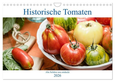 Historische Tomaten - Alte Schätze neu entdeckt (Wandkalender 2026 DIN A4 quer), CALVENDO Monatskalender