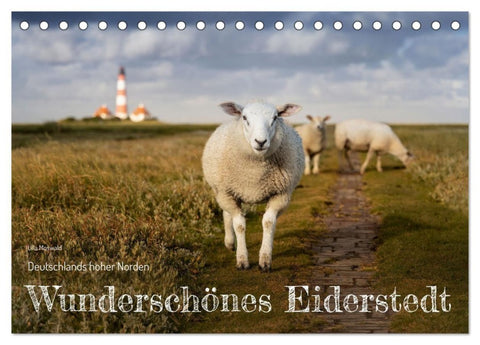 Wunderschönes Eiderstedt (Tischkalender 2027 DIN A5 quer), CALVENDO Monatskalender