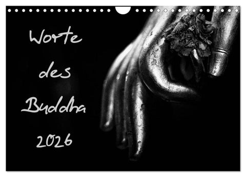 Worte des Buddha 2026 (Wandkalender 2026 DIN A4 quer), CALVENDO Monatskalender