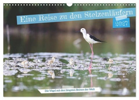 Eine Reise zu den Stelzenläufern (Wandkalender 2027 DIN A3 quer), CALVENDO Monatskalender
