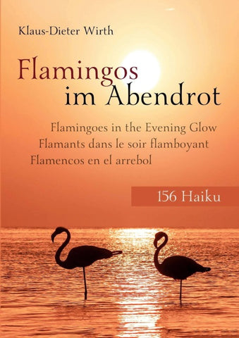 Flamingos im Abendrot