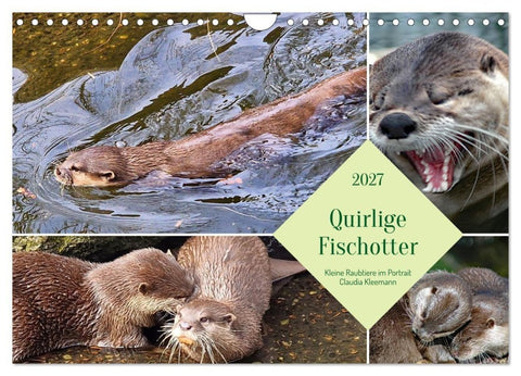 Quirlige Fischotter (Wandkalender 2027 DIN A4 quer), CALVENDO Monatskalender