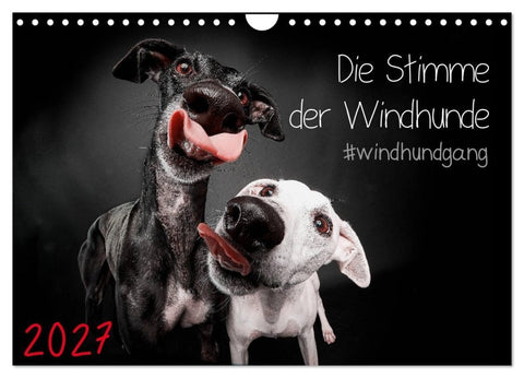 Die Stimme der Windhunde (Wandkalender 2027 DIN A4 quer), CALVENDO Monatskalender