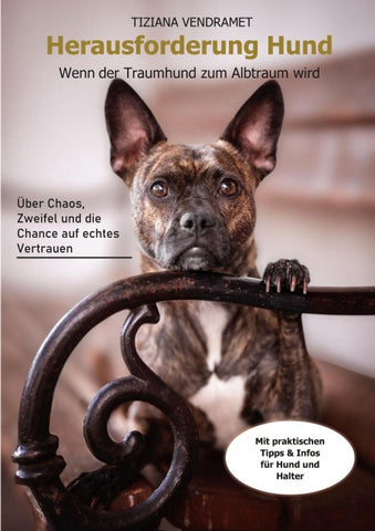 Herausforderung Hund